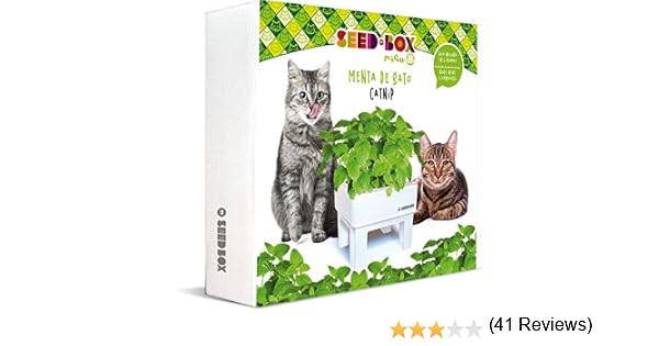 SeedBox SBMIMG Kit huerto Urbano de Menta, Blanco, 20x25x25 cm ...