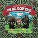 The Big Acorn Race: A Story with Crochet Patterns and Projects by Jennifer Olivarez