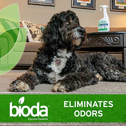 Bioda Pet Stain & Odor Eliminator, Professional Strength, 1-Quart