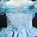 Domiray New Cinderella Dress Princess Costume Blue Butterfly Girl Dress (4-5 Years, Blue)