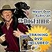 Don Sullivan's Secrets to Training the Perfect Dog System with DVD Set and Command Collar, Size Large