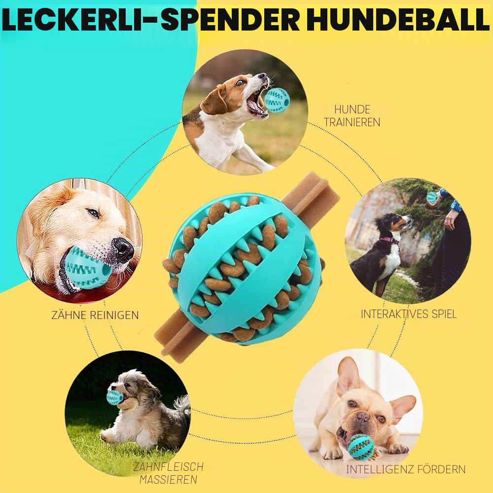 Speedy Panther 10 Stück Welpen Spielzeug Set - Plüsch Hundespielzeug mit Quietscher, Kauspielzeug & Ball für Kleine Hunde - Zahnpflege Welpenspielzeug & Zubehör für Junghunde 7