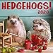 Hedgehogs 2020 Wall Calendar