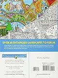 Image de Creative Haven Insanely Intricate Entangled Landscapes Coloring Book (Adult Coloring)