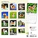 Shiba Inu 2018 Calendar