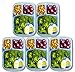 Orgalif Lunch Container for kids 3-Comparment Reusable Plastic Bento Lunch Box (Set of 5)
