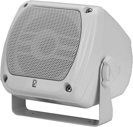 w box speaker