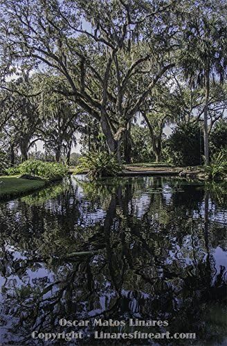 Bok Tower Garden 12X18 Photo Print