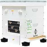 BeeTech Newest Windows 10 Frame Bee Hive Hand Painted Includes Unassembled Beehive Box with Beehive Frames and Foundations (1 Deep & 1 Medium)