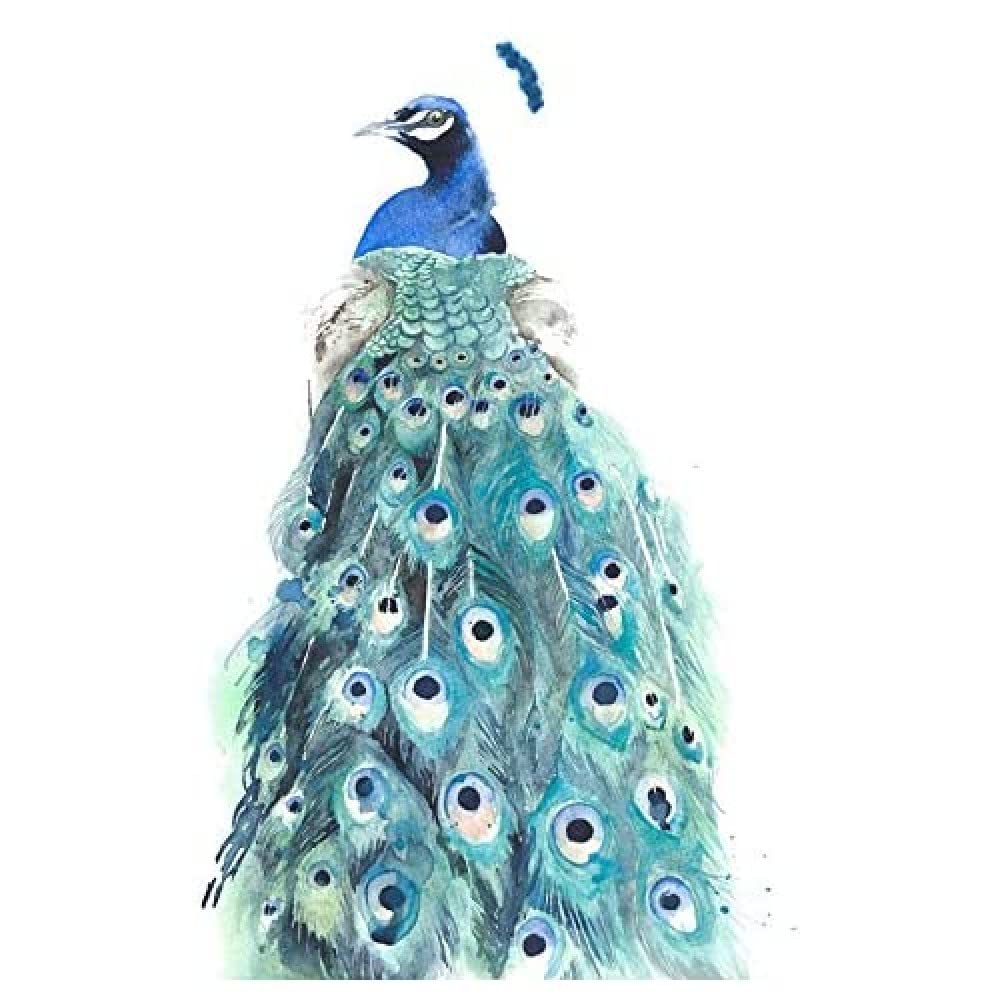 Wee Blue Coo Bird Peacock Watercolour Art Print Canvas Premium Wall Decor Poster