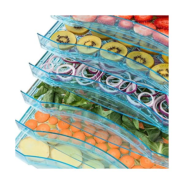 Della-Deluxe-Electric-Food-Dehydrator-Fruit-Meat-Sausage