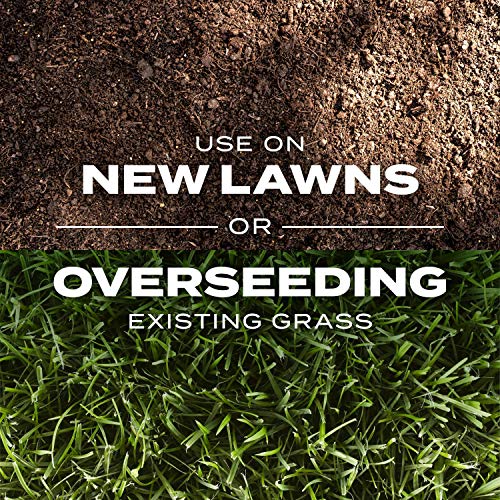 Scotts Turf Builder Rapid Grass Sun & Shade Mix, Combination Seed and