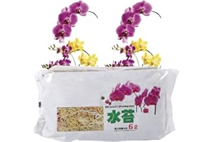 Phalaenopsis Sphagnum Moss, 6L Orchid Fertilizer Dry sphagnum moss for plants, Peat Moss Suitable for Phalaenopsis Orchids Li