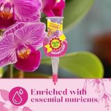 Baby Bio Orchid Automatic Drip Feeders 4x40ml Ready To Use Plant Food view 7