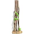Underwater Treasures Mini Mangrove Root with Plant - X-Large