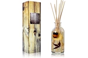 Urban Naturals Autumn Harvest Scented Oil Reed Diffuser | Fall Home Decor with Real Leaves & Botanicals | Creamy Pumpkin Pie, Nutmeg, Maple & Vanilla
