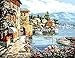 Morgofun DIY Painting Paint by Numbers for Adults, DIY Paint by Number Kits Peaceful Harbor Village Drawing 40x50cm