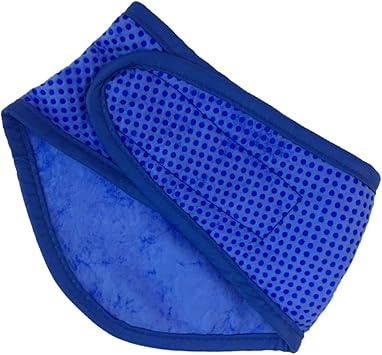 Amazon Popetpop 犬用クールバンダナ 犬 ネッククーラー 調節可能 ペット用冷感首輪 ソフト 冷却スカーフ 熱中症 暑さ対策 首 冷やす グッズ 首 冷却 冷え冷え首輪 ひんやり 保冷剤 夏用品 犬猫兼用 青 サイズ L Popetpop ベーシック首輪 通販