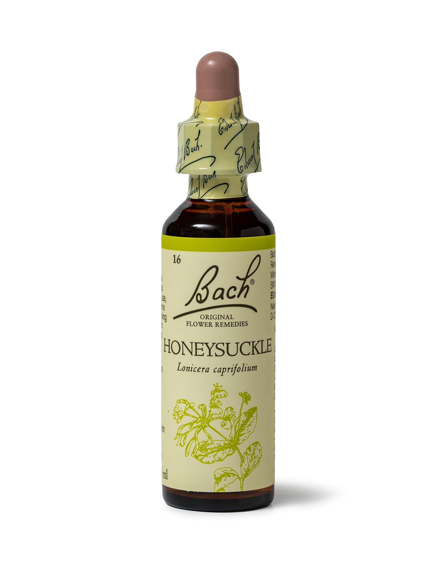 Bach Original Flower Remedies Honeysuckle, Live The Day, Embrace The Now, Emotional Wellness, Natural Flower Essence, 20ml
