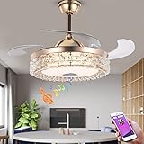 mfanchan Fandelier Ceiling Fan with
