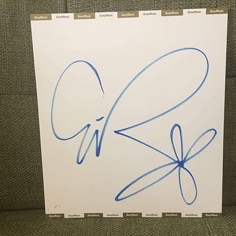 管理番号aoi 0727 藍井エイル直筆サイン入り色紙 I Will ソード アート オンラインedテーマfate Zero 美品 Sony Music公式 ホビー 通販 Amazon Co Jp