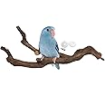 kathson Natural Parrot Perch Bird Stand Pole Wild Grape Stick Paw Grinding Fork Parakeet Climbing Standing Branches Toy Chewable Cage Accessories for Small Budgies Cockatiels Lovebirds