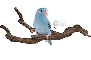 kathson Natural Parrot Perch Bird Stand Pole Wild Grape Stick Paw Grinding Fork Parakeet Climbing Standing Branches Toy Chewable Cage Accessories for Small Budgies Cockatiels Lovebirds