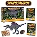 Spinosaurus Action Figure - Includes Real Dinosaur Bone Fossil!