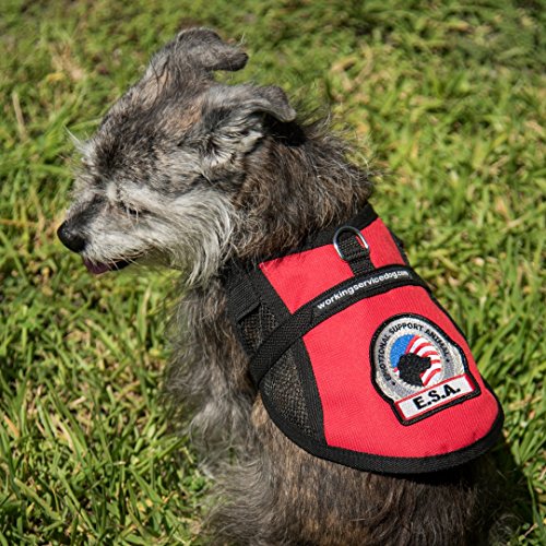 Premium Emotional Support Dog Vest ESA Dog Vest Mesh Cooling Panel