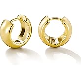 Gold Huggie Hoops: Small 14k Gold Plated Thick Chunky Hypoallergenic Earrings Jewelry for Women