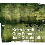 アフター・ザ・フォール