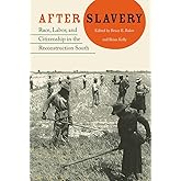 After Slavery: Race, Labor, and Citizenship in the Reconstruction South (New Perspectives on the History of the South)