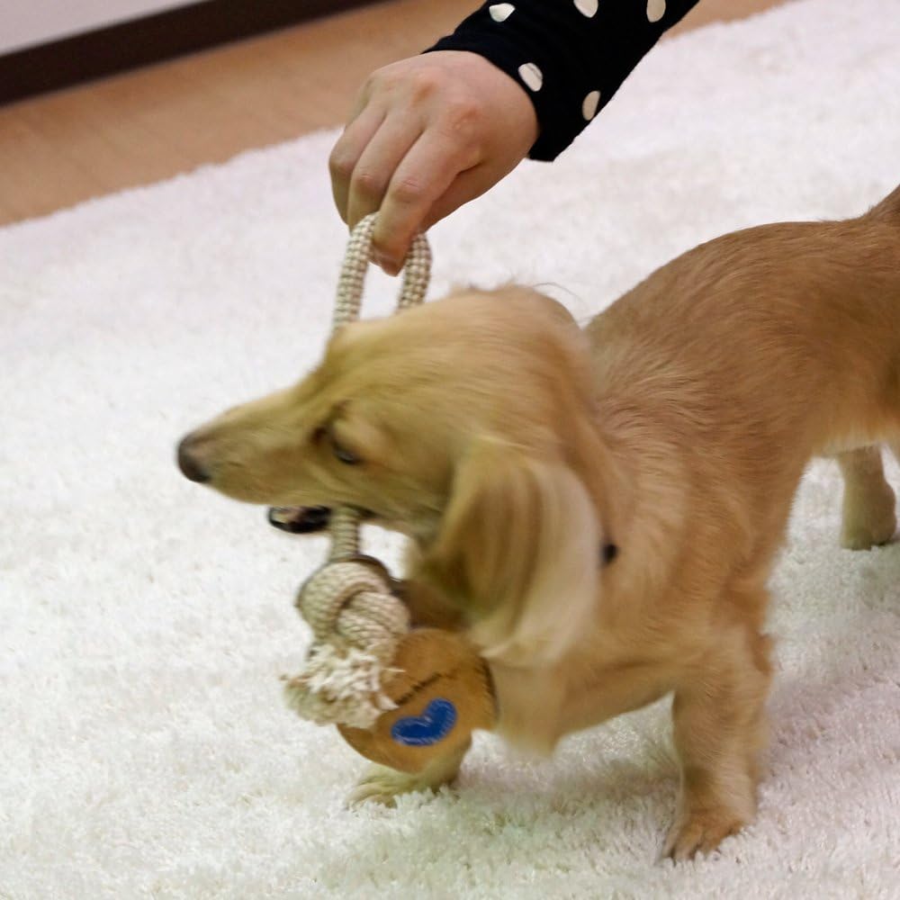 Amazon ドギーマン 犬用おもちゃ 牛革スーパートイ ボール ドギーマン ボール 通販