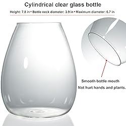 Desktop Glass Terrarium with Grow Light