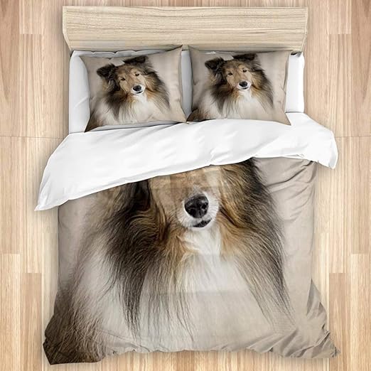 sheltie apartment