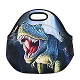 LBBDARE Lunch Bag Thermal Bags Outdoor Picnic Meal Package for Boys Girls Women Kids-Dino