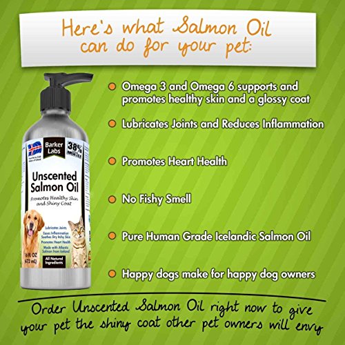 Salmon Fish Oil for Dogs & Cats Natural & Unscented Omega 3 Gives