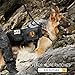 EJG Tactical Dog Molle Harness, with 3 Detachable Pouches & Velcro Area, No Pulling Design, Comfy Mesh Padding, Service Dog, Military Training, Hunting, Vest for Medium & Large Dog