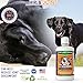 My Pet Nose Hip & Joint Liquid Supplement Includes Glucosamine Chondroitin, MSM and Hyaluronic Acid for Dogs, 32 oz