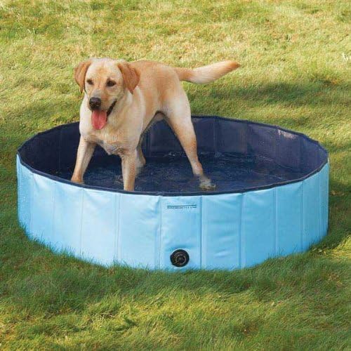 Amazon Com Cool Pup Splash About Dog Pool In Blue Portable Pet Supplies