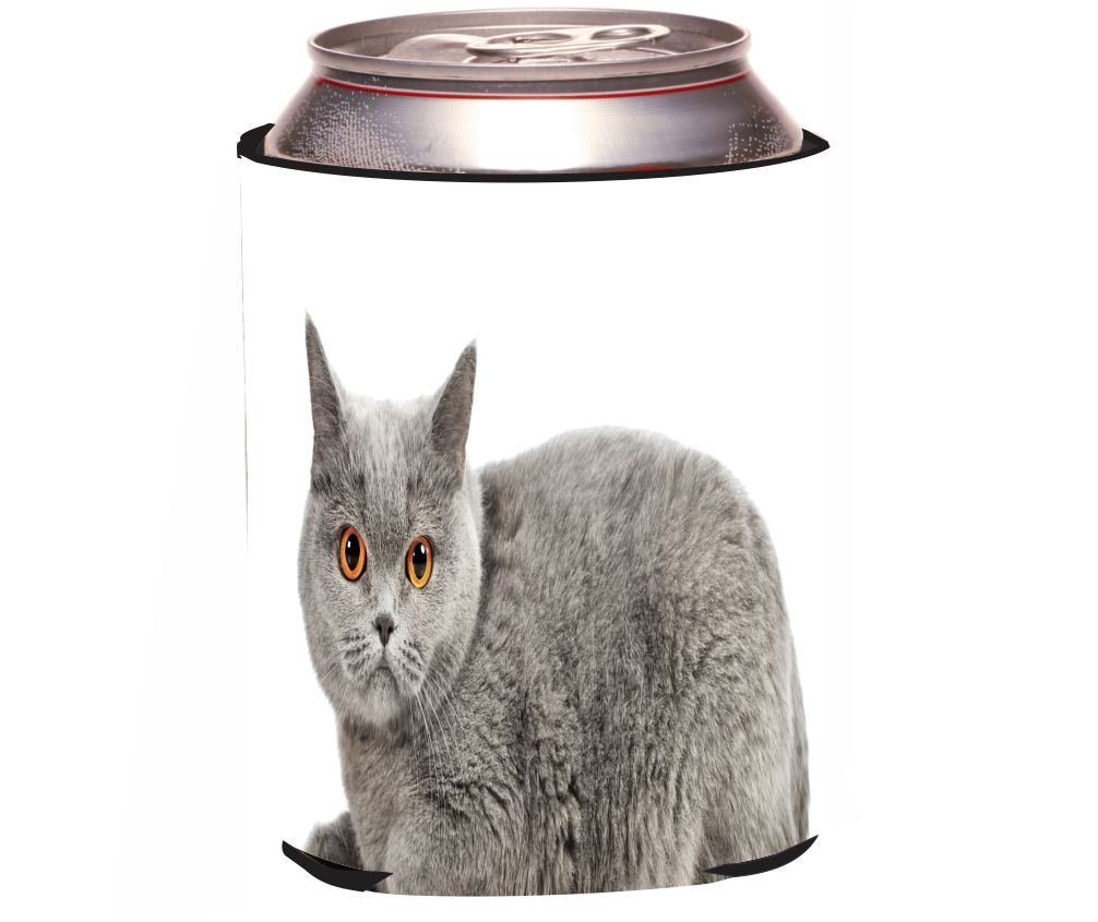 Amazon Com Rikki Knight Rkws 45109 Blue British Shorthair Cat