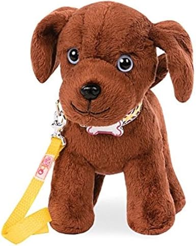 our generation labrador pup