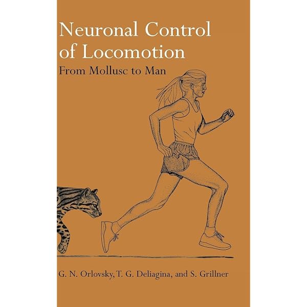 Amazon.com: Somatotyping: Development and Applications (Cambridge