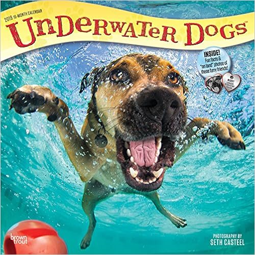Underwater Dogs 2019 12 x 12 Inch Monthly Square Wall Calendar, Pet Humor Puppy (Multilingual Edition) Underwater Dogs 2019 12 x 12 Inch Monthly Square Wall Calendar, Pet Humor Puppy (Multilingual Edition)