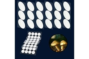 PESSILIN Mushroom Growing Supplies 0.25 μm - 32Pcs 20mm & 18Pcs 65mm Filter Filter Disc Mushroom,Membrane Filter Sticker, Mycology Supplies,Applied Under Wide Mouth Jar Lid for Mushroom Cultivation