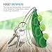 Maxboost Fidget Bean Fidget Toy Squeeze-a-Bean Soybean (3 Pack) Edamame Keychain Set [Mobile Keyring Friendly] Prime Stress Reliever Focus Fidget Toys for Kid and Adult Great for Work, Office, School