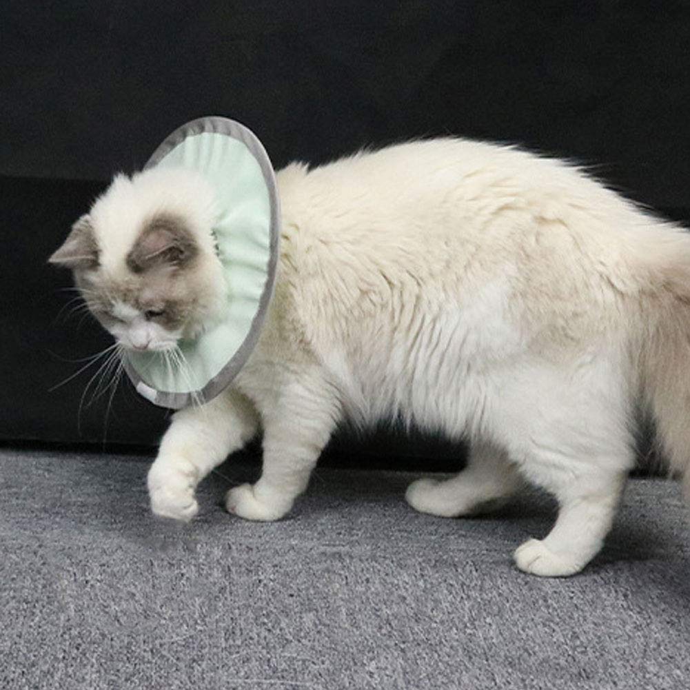 KUIDAMOS Pet Cat Anti-Licking Elizabethan Collar After Operation,Anti-bite Light Breathable Collar,Not Block Sight Cloth Collar,for Cats After Surgery(L)