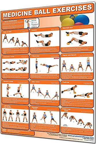 IRON COMPANY Productive Fitness Laminated Fitness Poster Medicine IRON COMPANY Productive Fitness Laminated Fitness Poster Medicine