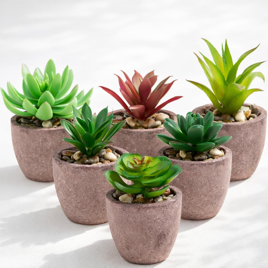 PASCH® Set of 6 Artificial Succulents in real natural cellulose pots: succulent artificial plant decoration living room bathroom decoration plants artificial office decoration plant artificial plant