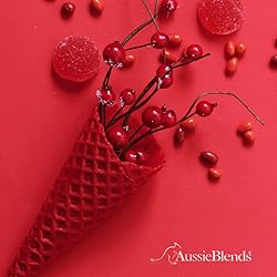 AussieBlends Waffle Ice Cream Cones Bulk For Soft